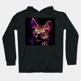 Cute Cat Hoodie